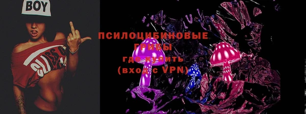 дмт Горно-Алтайск