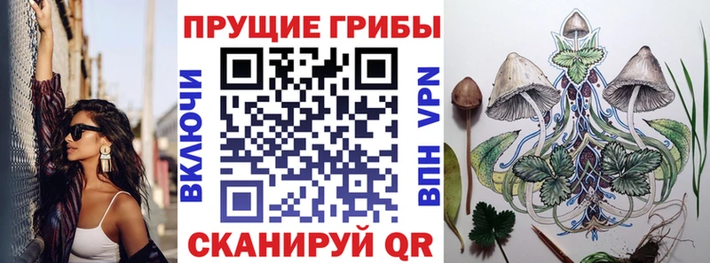 Галлюциногенные грибы мицелий  наркота  Острогожск 