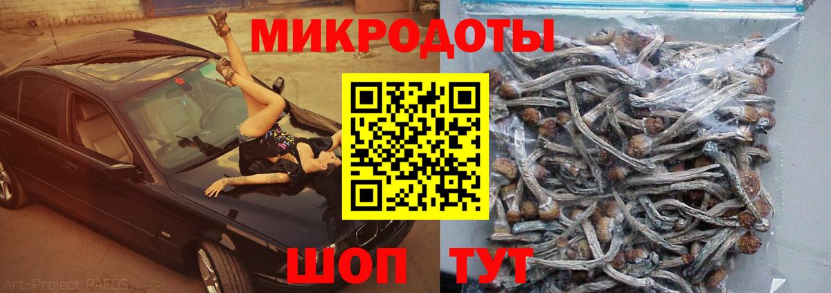 Псилоцибиновые грибы Psilocybe  купить наркотик  Острогожск  Вход с VPN  Галлюциногенные грибы Psilocybine cubensis 