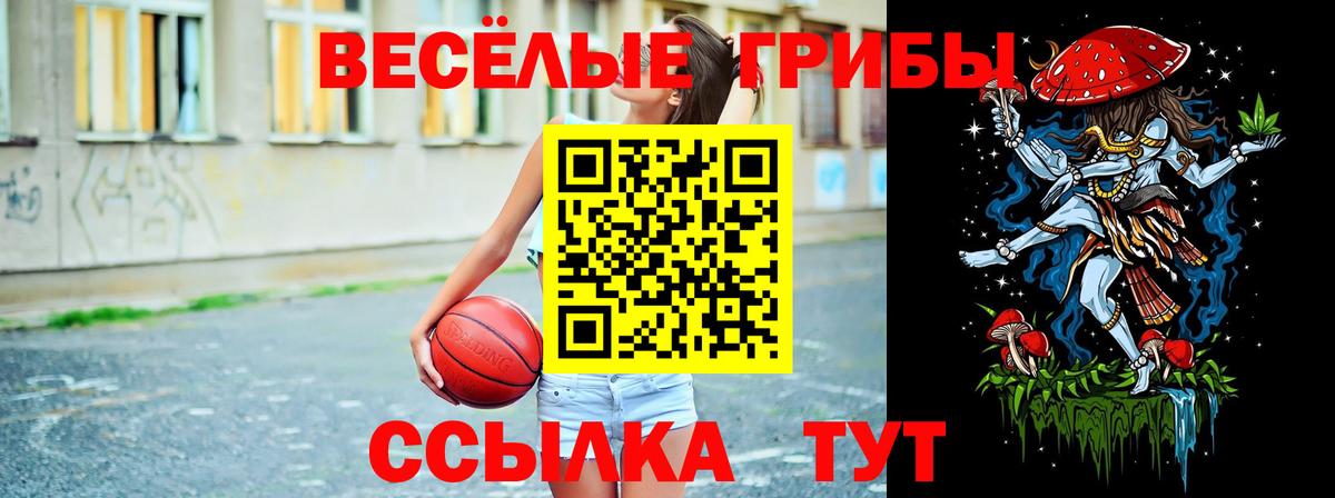 Галлюциногенные грибы Magic Shrooms  Острогожск 